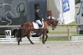 Eventing - Dressage